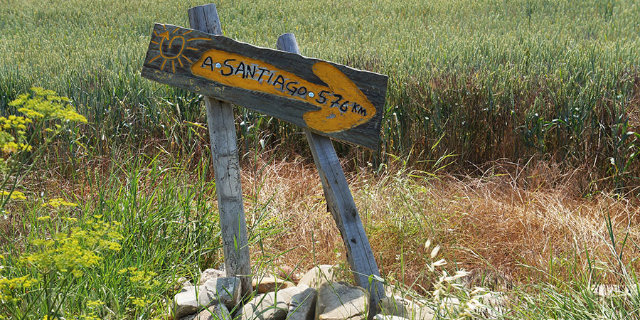 Travel With CaminoWays yellow-arrow-markings-camino-de-santiago-caminoways
