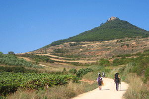 Travel Insurance for the Camino