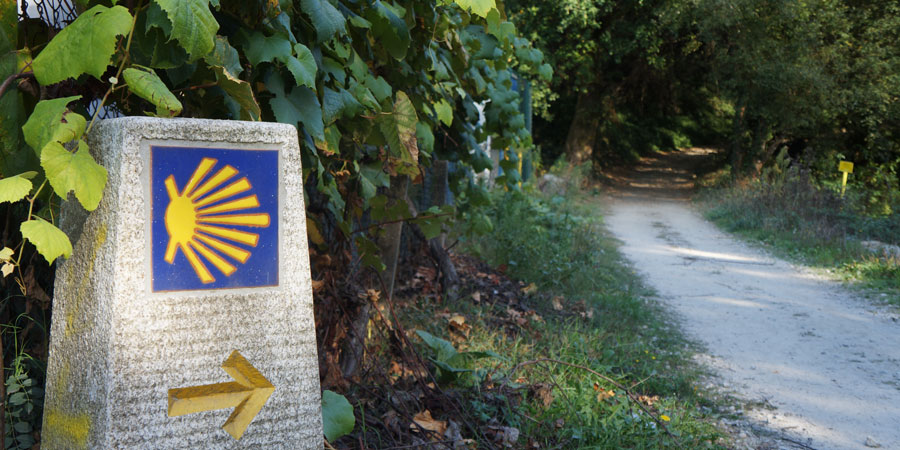 Camino Markings - The Scallop Shell Camino Markings - The Scallop Shell